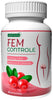 Fem Controle