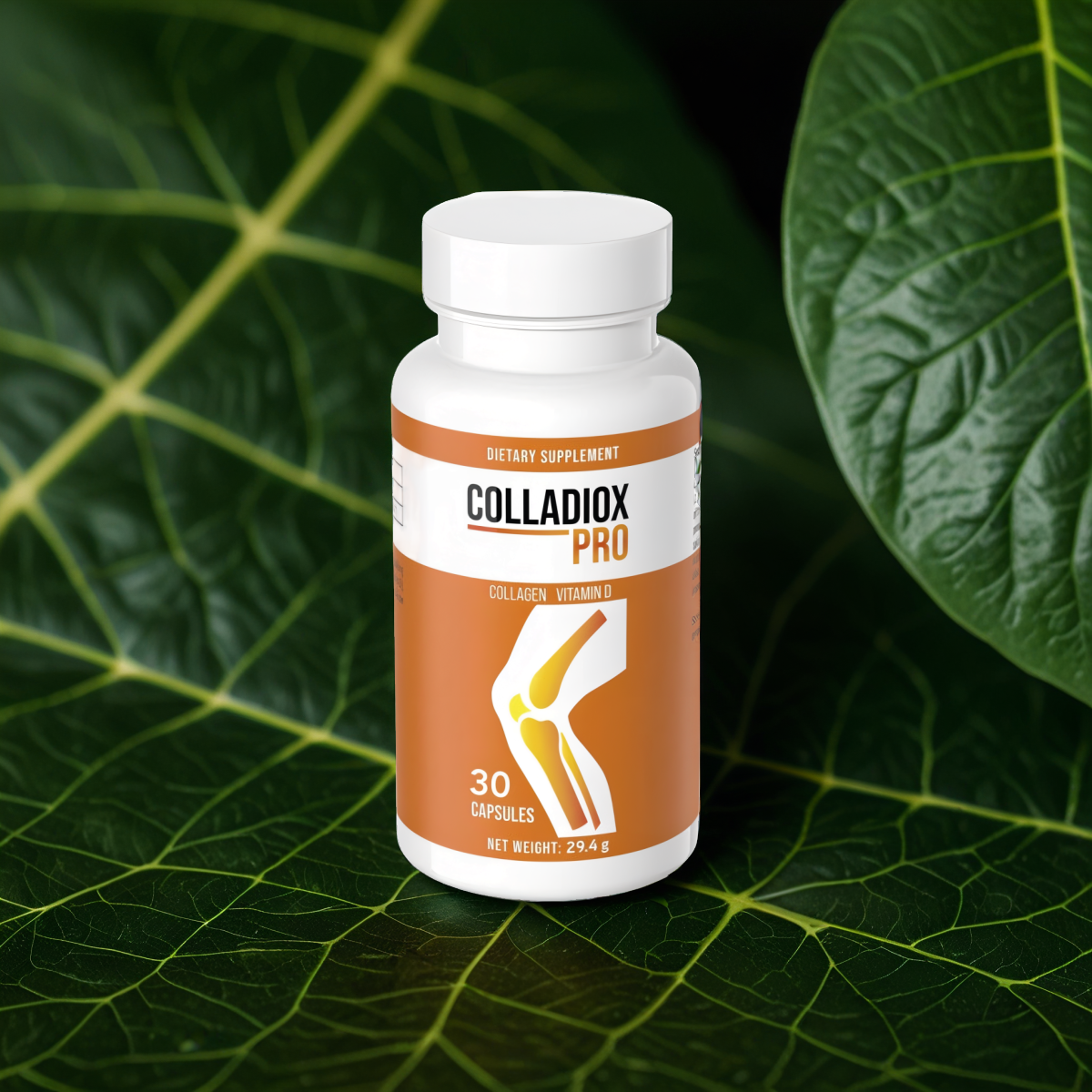 Colladiox Pro Hybrid