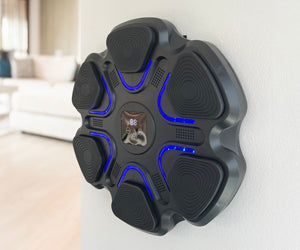 Boxing Music Box a 298 LEU