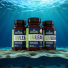 LivLean - 3 Bottles