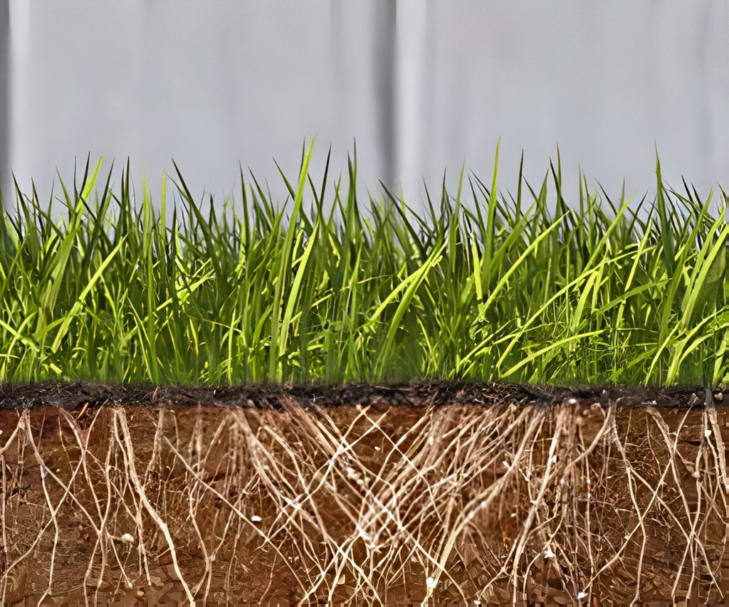 Grass Seed Mat a 298 LEU