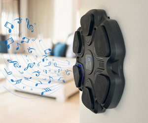 Boxing Music Box  a 69,99€