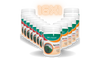 Spirulina Impact